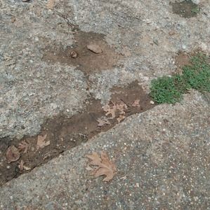 Meet your Posher, Quinton